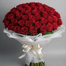 Букет 101 Красная роза Блэк Мэджик в Ситне-Щелканово