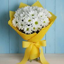 Букет цветов из:  Хризантемы #REPLACE_PRED# Ситне-Щелканово
