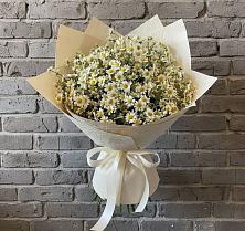 Букет цветов из:  Ромашки #REPLACE_PRED# Ситне-Щелканово