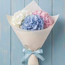 Букет цветов из:  Гортензия в Ситне-Щелканово