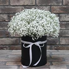 Цветочная композиция из Гипсофила в шляпной коробке в Ситне-Щелканово