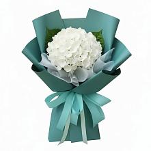 Букет цветов из:  Гортензия в Ситне-Щелканово